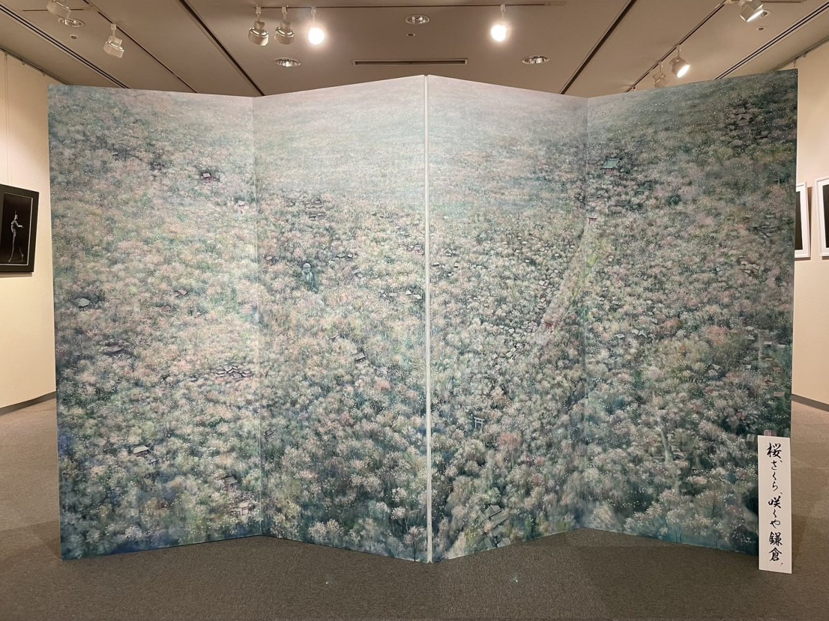桜、さくら、咲くや鎌倉